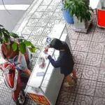 Marketing Điền Phát Lộc